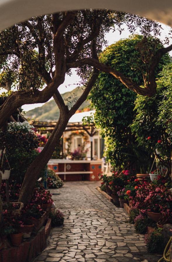 Hotel Villa Maria Sant'Angelo  Kültér fotó