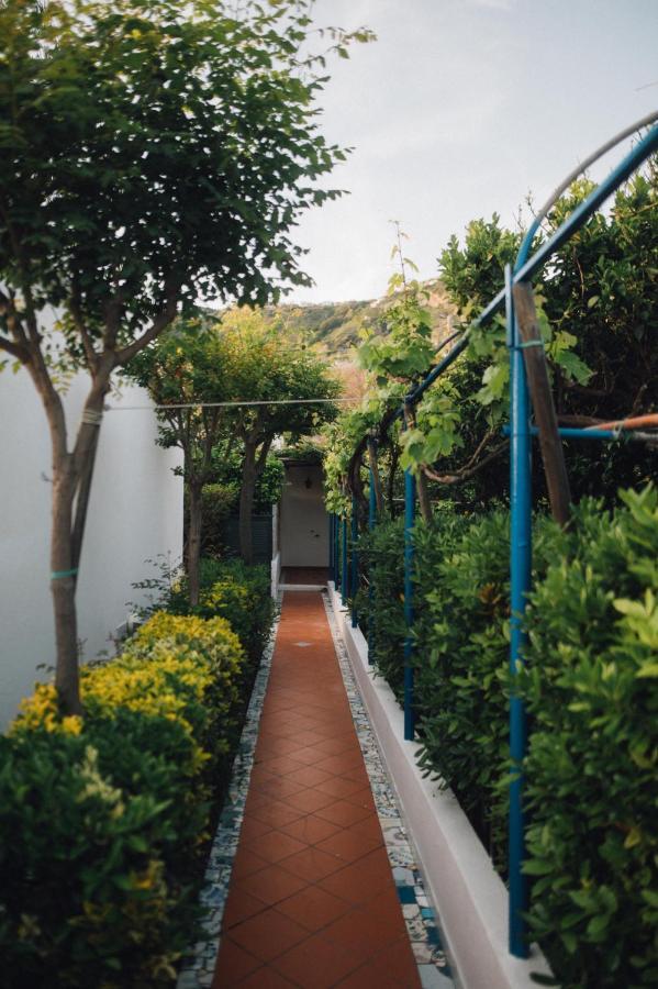 Hotel Villa Maria Sant'Angelo  Kültér fotó